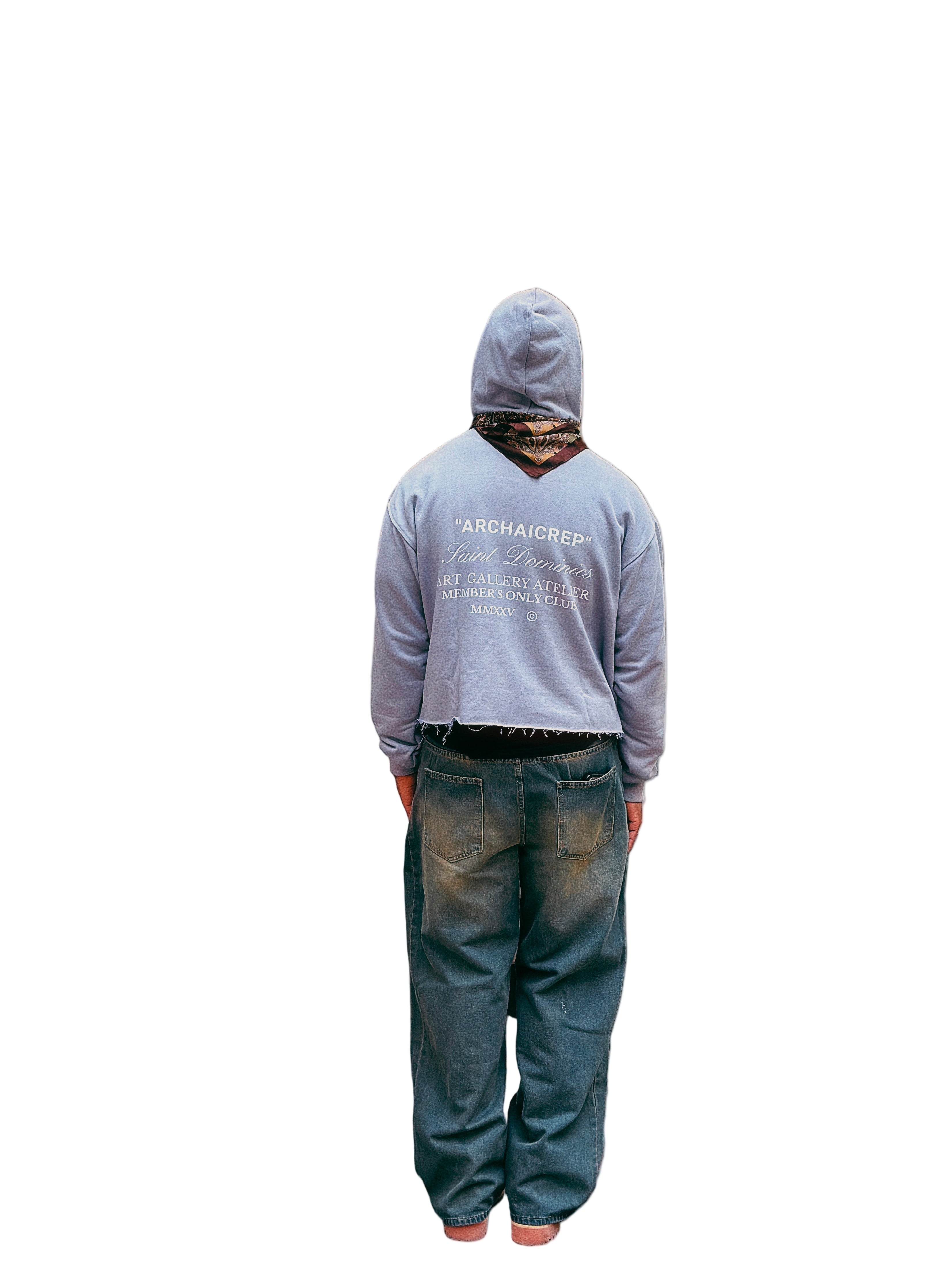 Archaicrep Heavy Fleeced ''MEMBERS ONLY CLUB '' Gray boxy cropped hoodie