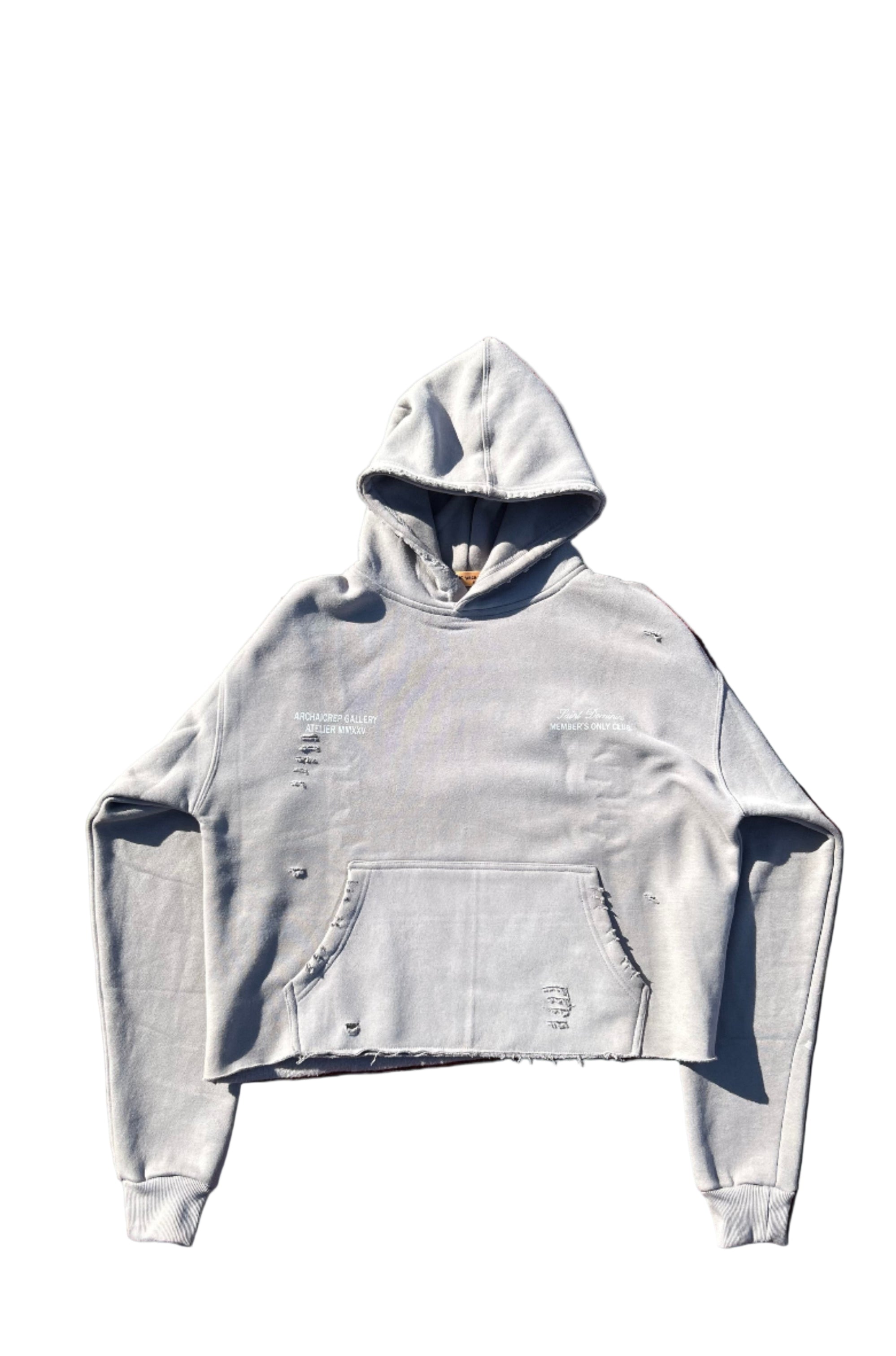 Archaicrep Heavy Fleeced ''MEMBERS ONLY CLUB '' Gray boxy cropped hoodie