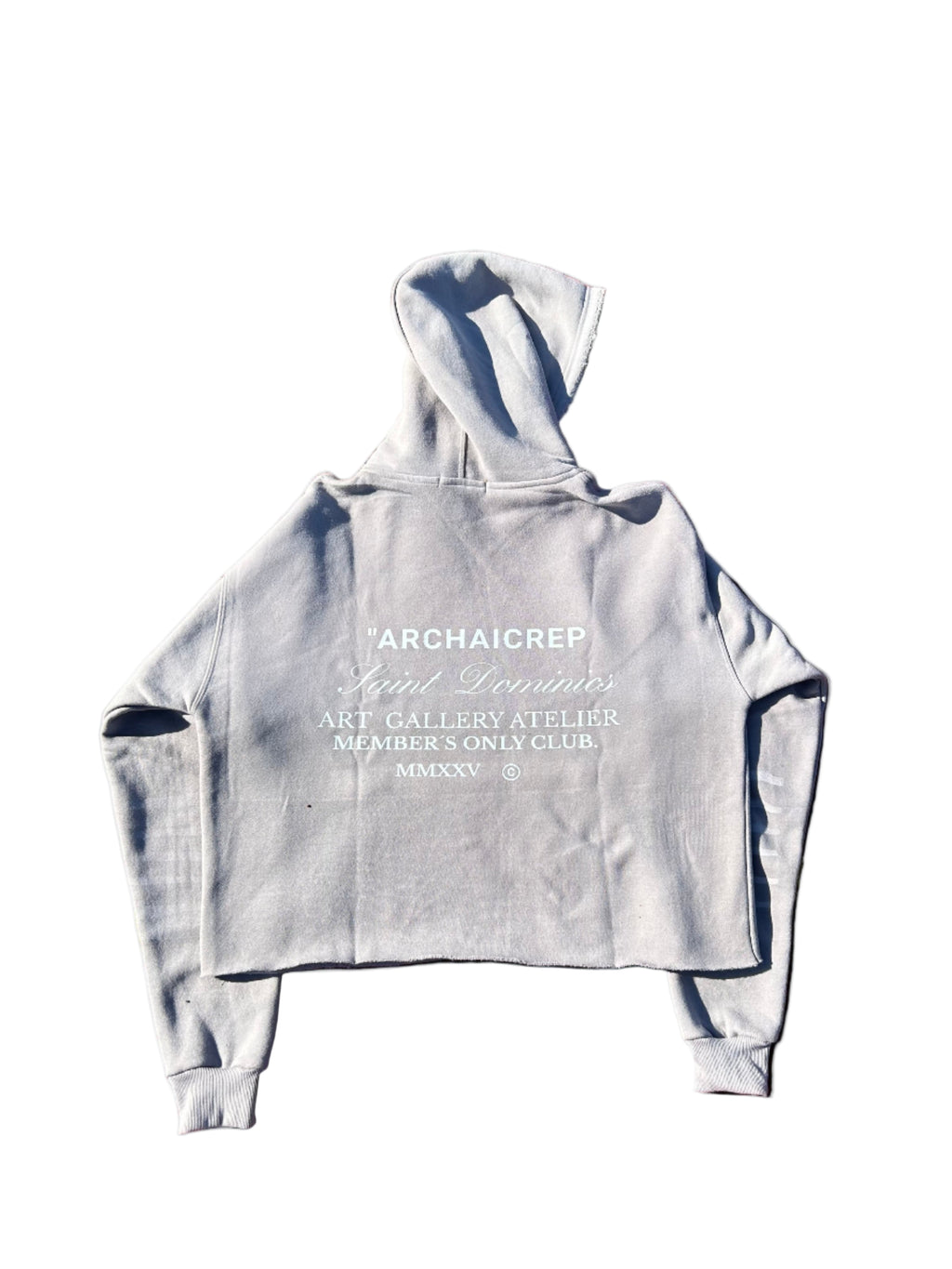Archaicrep Heavy Fleeced ''MEMBERS ONLY CLUB '' Gray boxy cropped hoodie