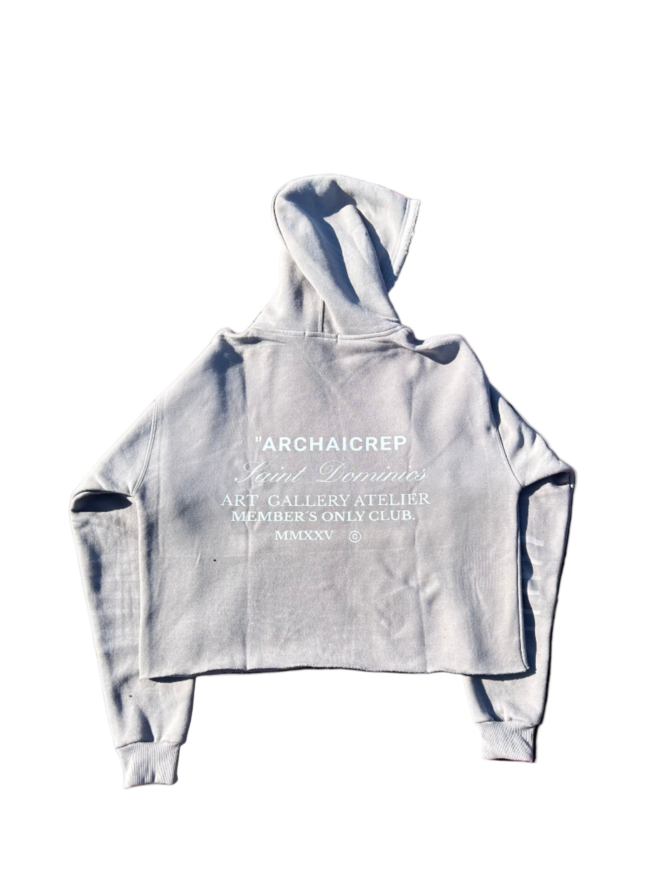 Archaicrep Heavy Fleeced ''MEMBERS ONLY CLUB '' Gray boxy cropped hoodie